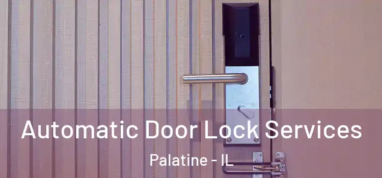 Automatic Door Lock Services Palatine - IL