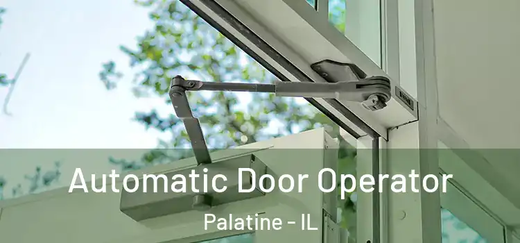 Automatic Door Operator Palatine - IL