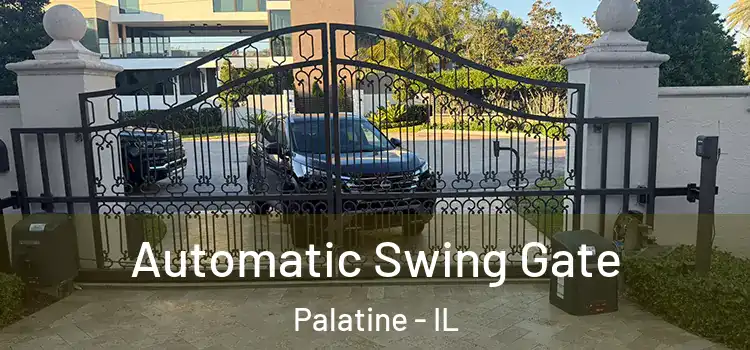 Automatic Swing Gate Palatine - IL