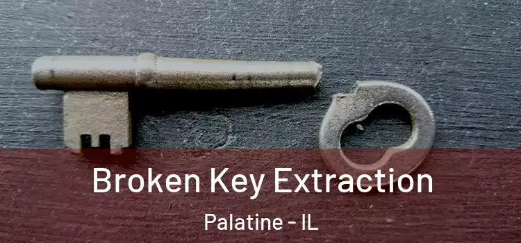 Broken Key Extraction Palatine - IL