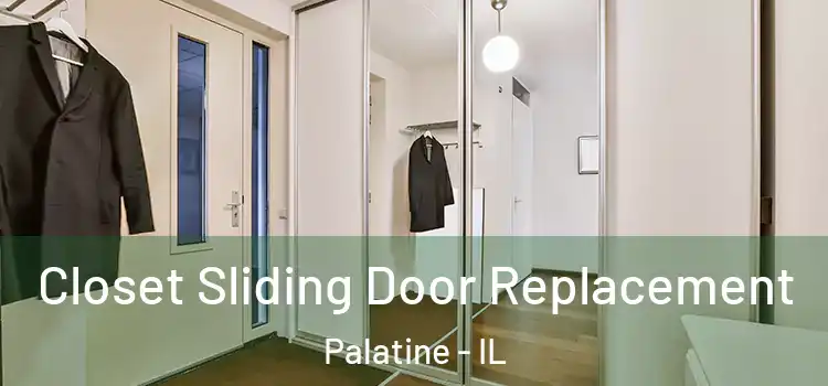  Closet Sliding Door Replacement Palatine - IL