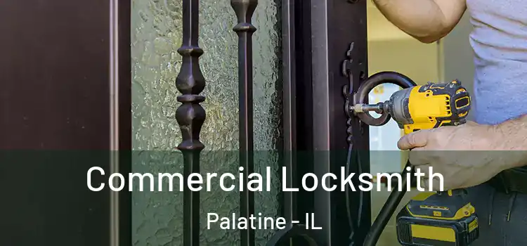 Commercial Locksmith Palatine - IL