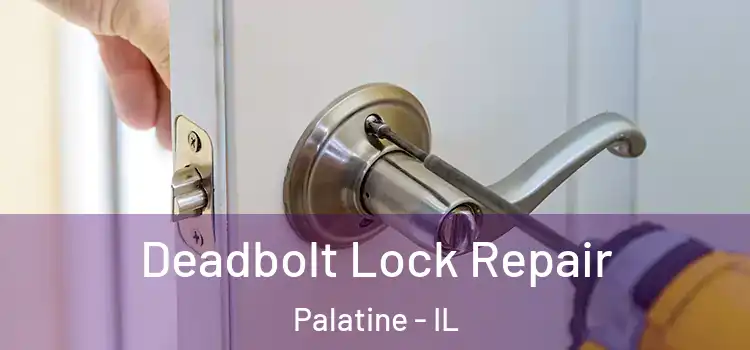  Deadbolt Lock Repair Palatine - IL