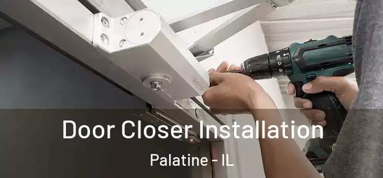  Door Closer Installation Palatine - IL