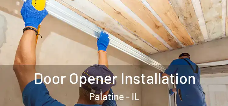  Door Opener Installation Palatine - IL