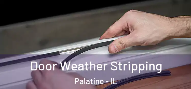 Door Weather Stripping Palatine - IL