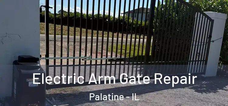  Electric Arm Gate Repair Palatine - IL