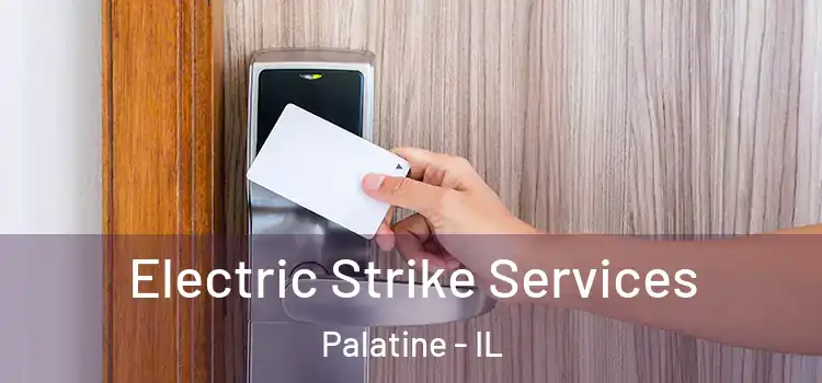 Electric Strike Services Palatine - IL