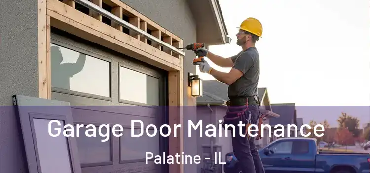  Garage Door Maintenance Palatine - IL