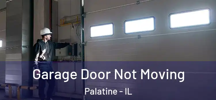  Garage Door Not Moving Palatine - IL