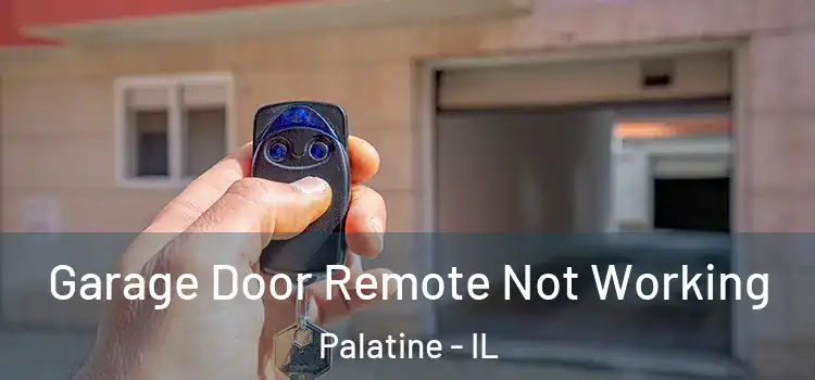  Garage Door Remote Not Working Palatine - IL