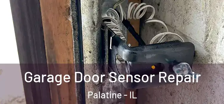 Garage Door Sensor Repair Palatine - IL