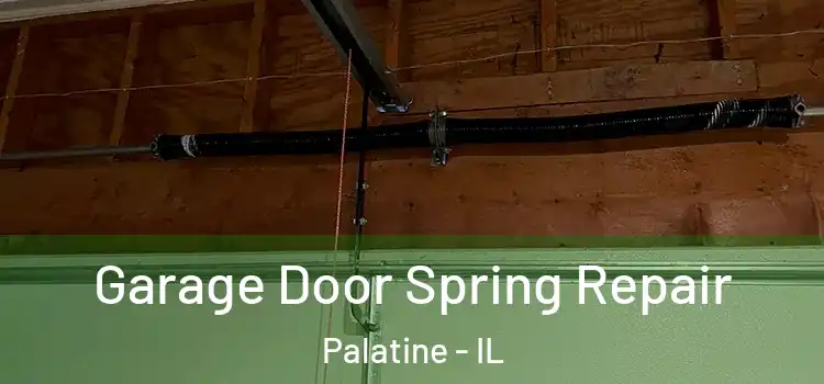  Garage Door Spring Repair Palatine - IL