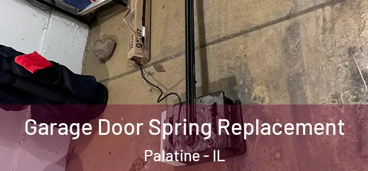  Garage Door Spring Replacement Palatine - IL