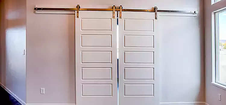 Glass Barn Door with Installation Hardware Kit Palatine