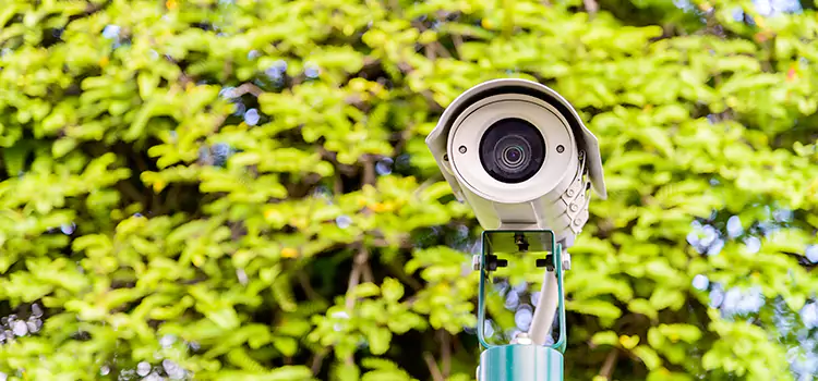 Advanced Surveillance Solutions for Every Need in Palatine