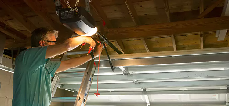 Garage Door Opener Sales and Installation Palatine