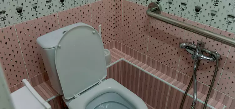 Meeting Diverse Needs With Accessible Restroom Solutions in Palatine, IL