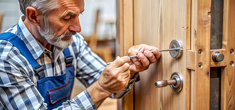 Mortise Replacement Lock Palatine