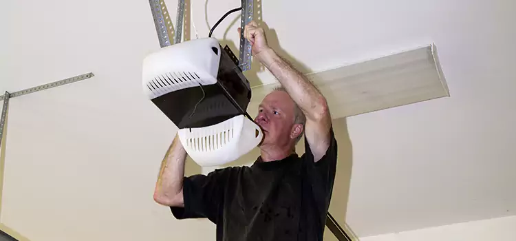 Garage Door Opener Service Palatine