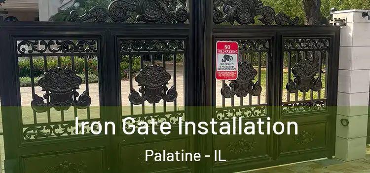 Iron Gate Installation Palatine - IL