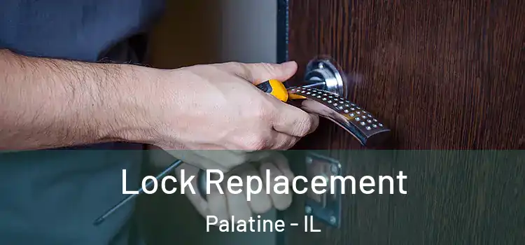 Lock Replacement Palatine - IL