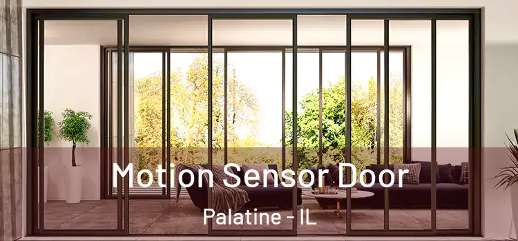  Motion Sensor Door Palatine - IL