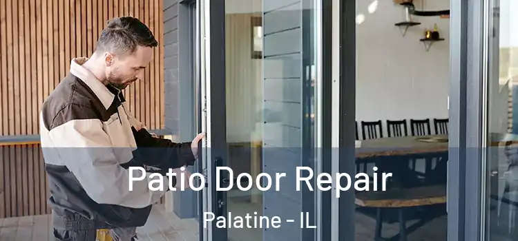 Patio Door Repair Palatine - IL