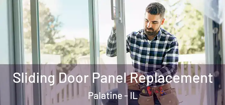  Sliding Door Panel Replacement Palatine - IL