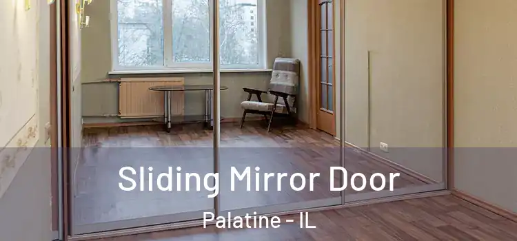  Sliding Mirror Door Palatine - IL