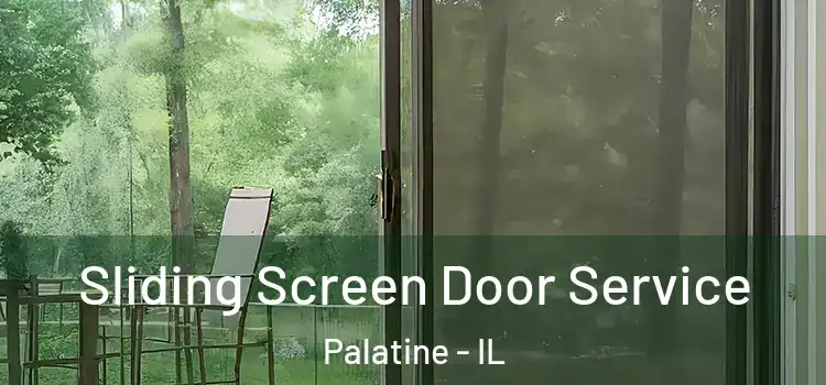 Sliding Screen Door Service Palatine - IL